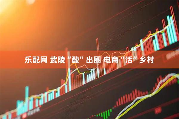 乐配网 武陵“酸”出圈 电商“活”乡村